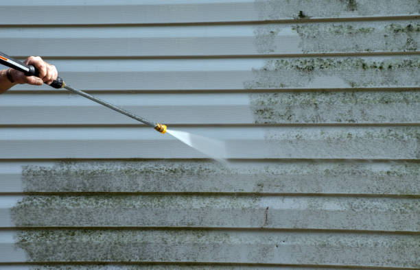 Best Roof Pressure Washing  in Lakes East, CT