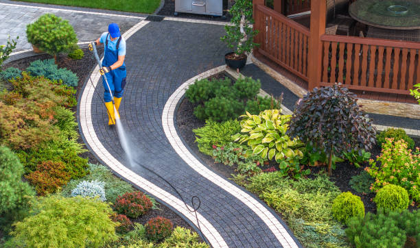 Best Best Pressure Washing Companies  in Lakes East, CT